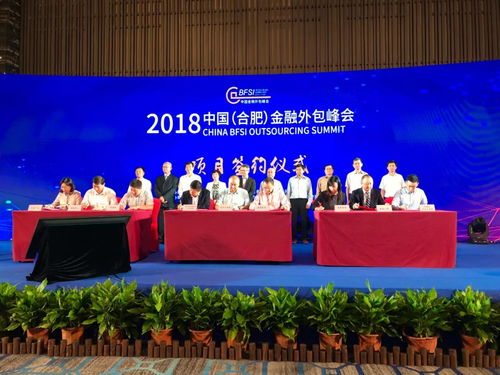 2018中國合肥金融外包峰會隆重召開，共繪服務(wù)新藍圖